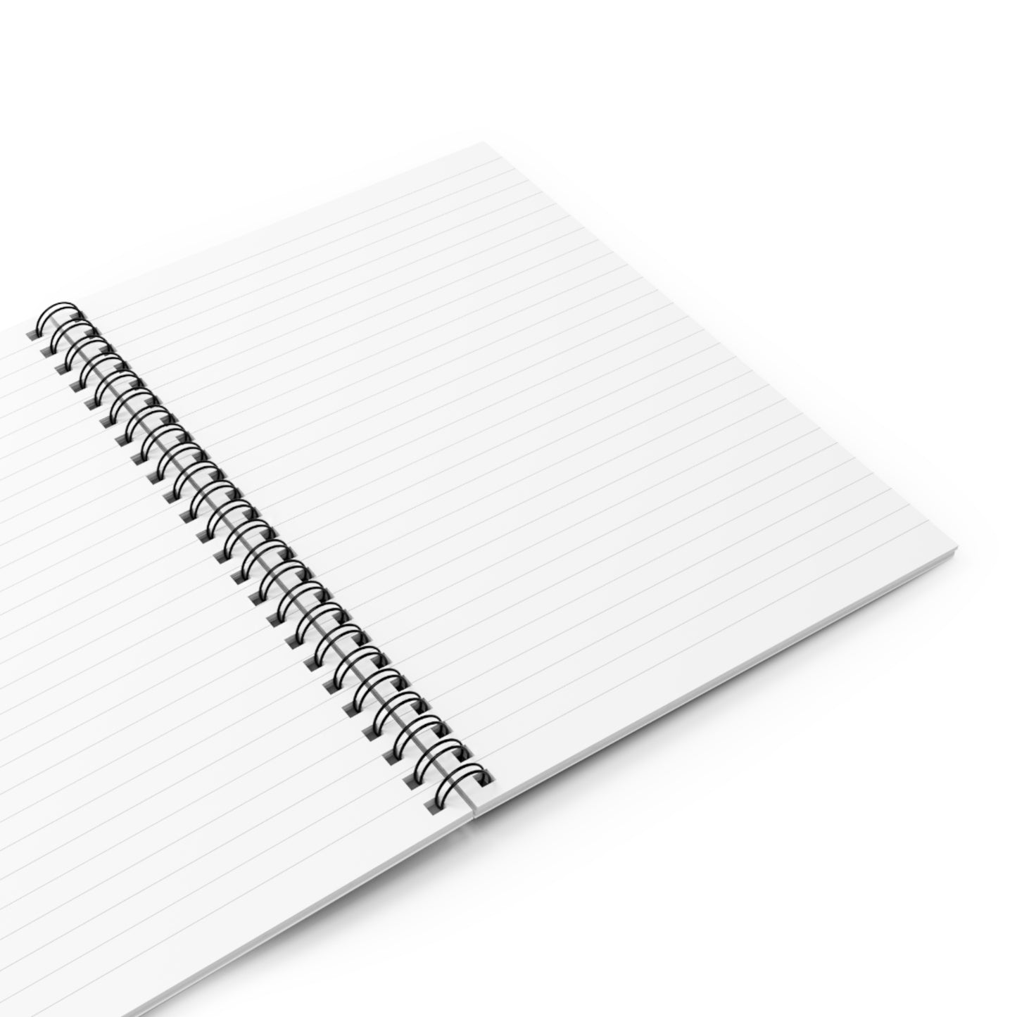 Ida Wells Notebook