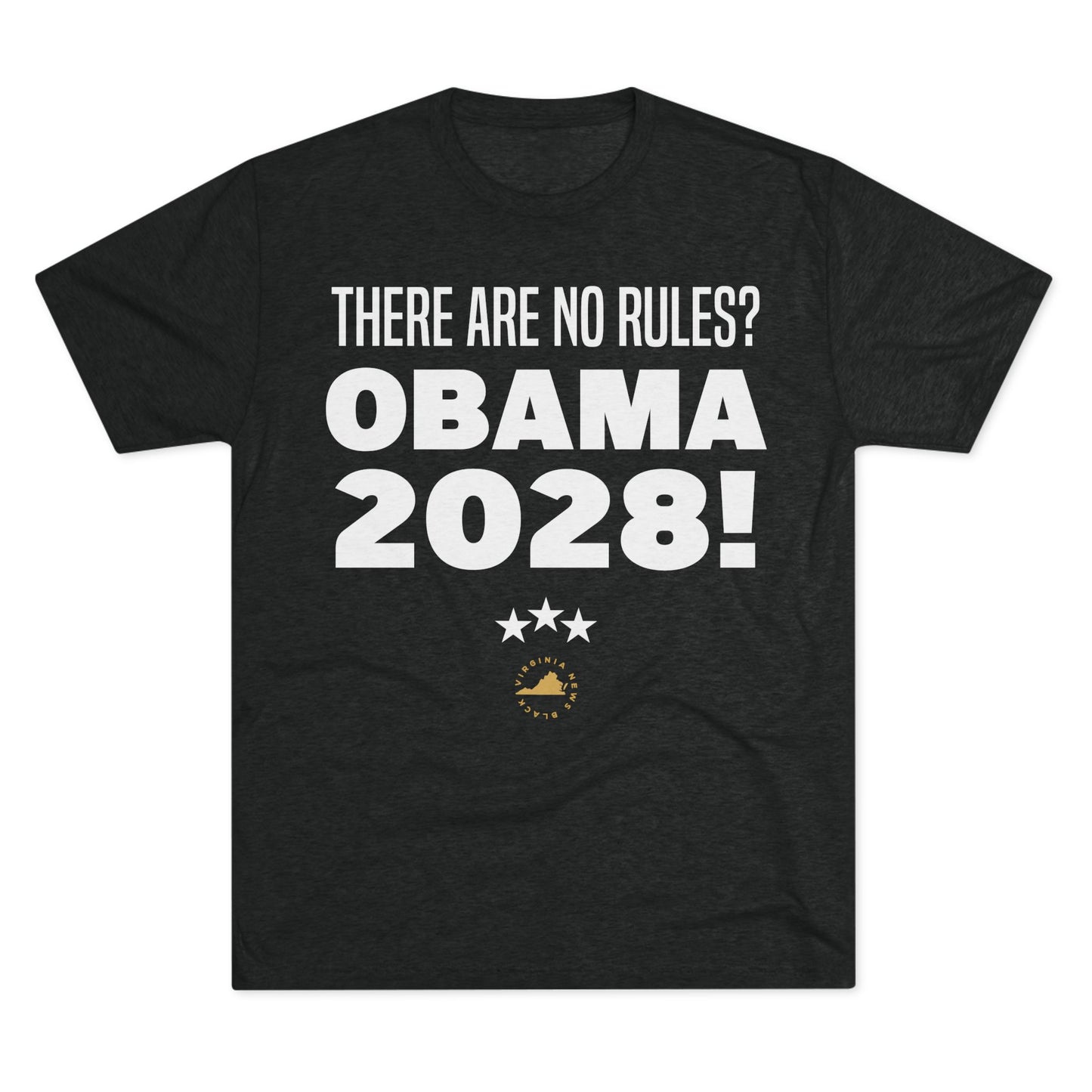 There are no rules? OBAMA 2028!